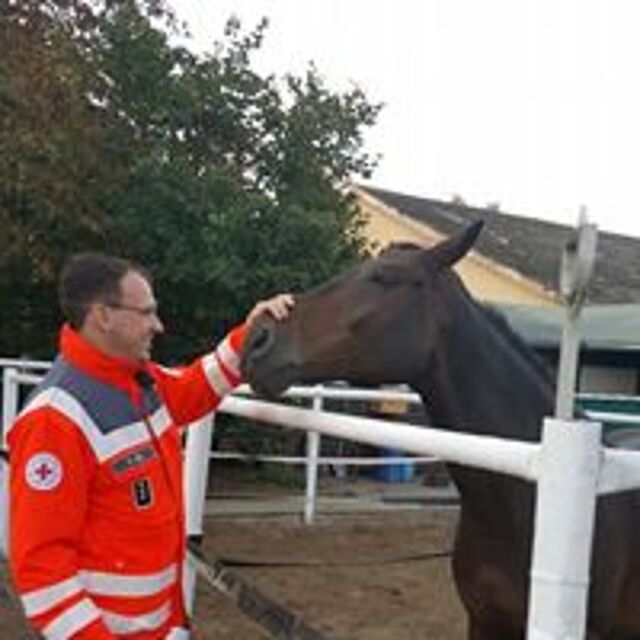 Foto: Felix mit einem Pferd
