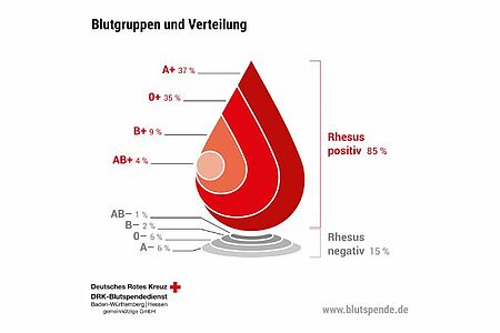 Grafik der Blutgruppenverteilung